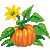 Pumpkin #103608