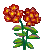 Phlox #107087