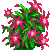 【Flowergame】养花游戏攻略(待完善) 138147