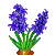 【Flowergame】养花游戏攻略(待完善) 148832