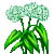 【Flowergame】养花游戏攻略(待完善) 148915