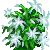 Visit my Christmas cactus in Flowergame!