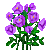 Besuche meinen n Flowergame! Besuche meinen n Flowergame!