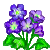 http://img.flowergame.net/77129.png