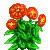 Zinnia #96300