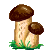 Visit my Porcini Mushroom in Flowergame!