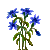 Visit my Cornflower in Flowergame!