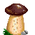 Visit my Porcini Mushroom in Flowergame!