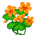 Visit my Nasturtium in Flowergame!