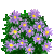 Visit my Rice button aster in Flowergame!