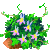 Visit my Kenilworth Ivy in Flowergame!