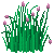 Visit my Chives in Flowergame!