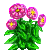 Visit my Zinnia in Flowergame!