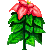 Visit my Poinsettia in Flowergame!