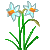 Visit my Daffodil in Flowergame!