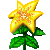 Visit my Christmas Star in Flowergame!