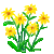Visit my Marigold in Flowergame!