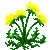 Visit my Dandelion in Flowergame!