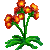 Visit my Orange Hawkweed in Flowergame!