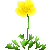 Visit my California Poppy in Flowergame!