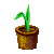Visit my Tulip in Flowergame!