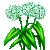 Visit my Bear's Garlic in Flowergame!