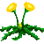 Visit my Dandelion in Flowergame!