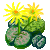 Visit my Living stones in Flowergame!