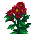Visit my Indian Chrysanthemum in Flowergame!