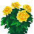 Visit my Indian Chrysanthemum in Flowergame!