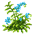 Visit my Wood forget-me-not in Flowergame!