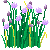 Visit my Chives in Flowergame!