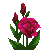 1118650.png