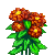 Visit my Zinnia in Flowergame!