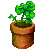 Visit my Geranium in Flowergame!