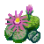 Visit my Living stones in Flowergame!