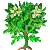 Visit my Potato in Flowergame!