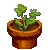 Visit my Scarlet Cinquefoil in Flowergame!