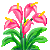 Visit my Arum lily in Flowergame!