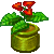 Visit my Poinsettia in Flowergame!