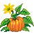 Visit my Pumpkin in Flowergame!