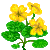 Visit my Nasturtium in Flowergame!