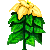 Visit my Poinsettia in Flowergame!