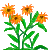 Visit my Marigold in Flowergame!