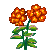 Visit my Phlox in Flowergame!