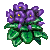 Visit my Saintpaulia in Flowergame!