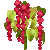 Visit my Love-lies-bleeding in Flowergame!