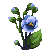 Visit my Texas bluebell in Flowergame!