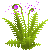 Visit my Marvel Fern in Flowergame!