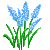 Visit my Grape hyacinth in Flowergame!